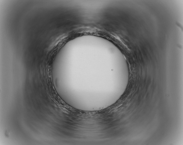 X0000091591399200708200941