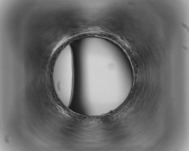 X0000091591400200708200941