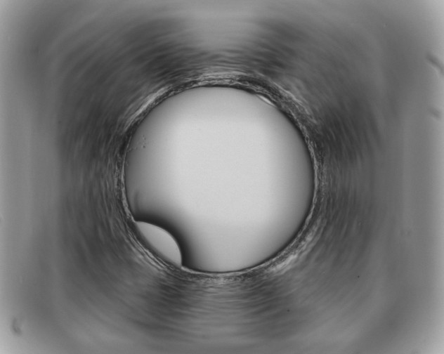 X0000091591401200708200941
