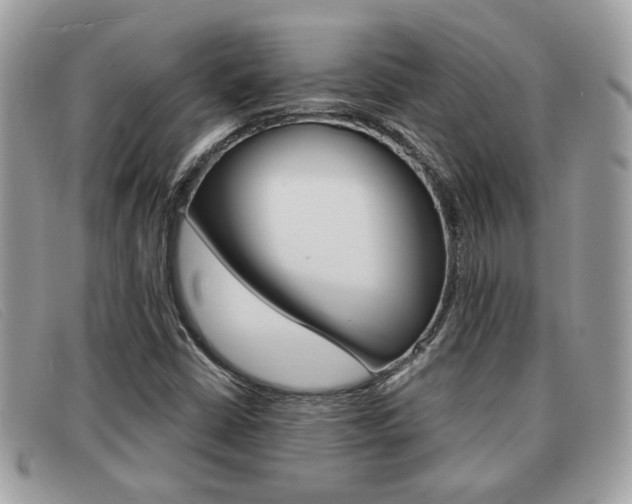 X0000091591402200708200941