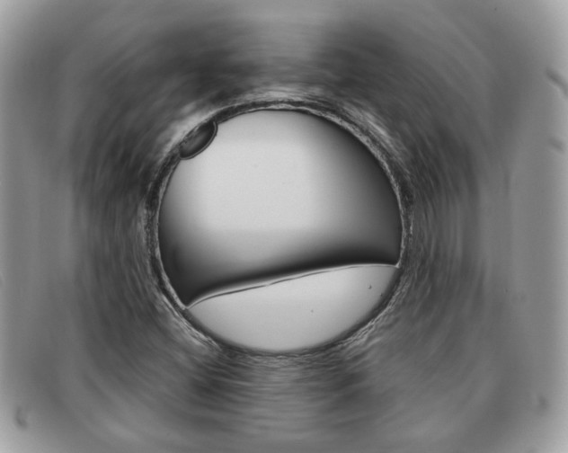 X0000091591404200708200941