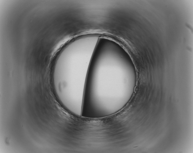 X0000091591406200708200941