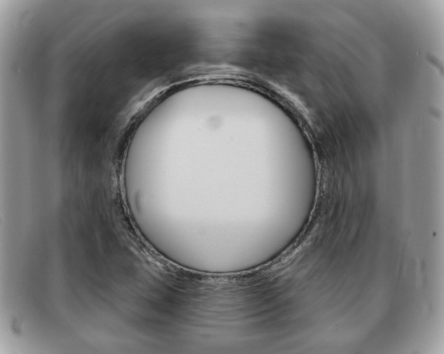 X0000091591407200708200941