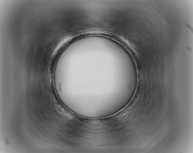 X0000091591408200708200941