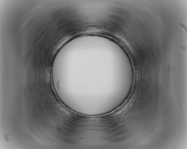 X0000091591409200708200941
