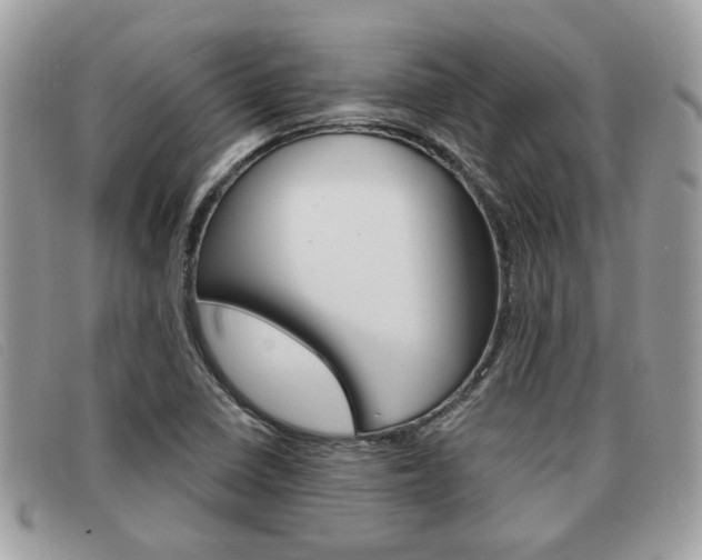 X0000091591410200708200941