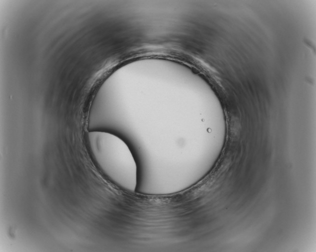 X0000091591411200708200941
