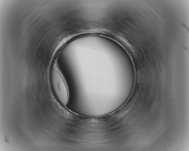 X0000091591412200708200941