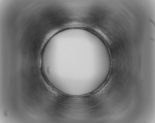 X0000091591413200708200941
