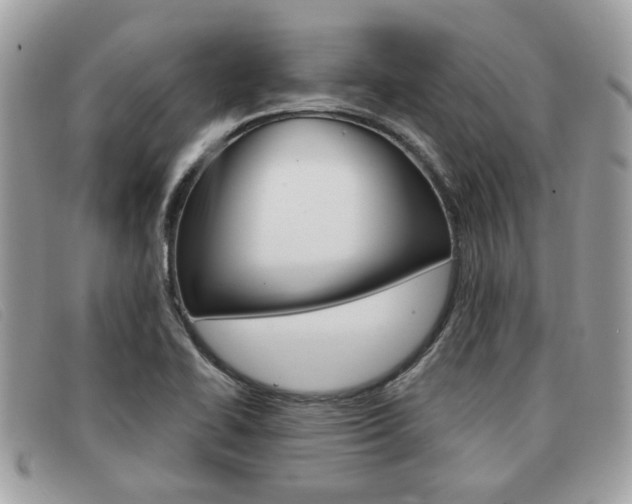 X0000091591414200708200941