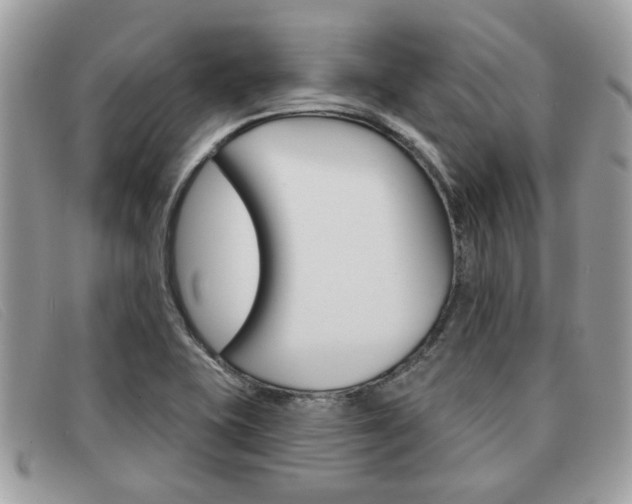 X0000091591415200708200941