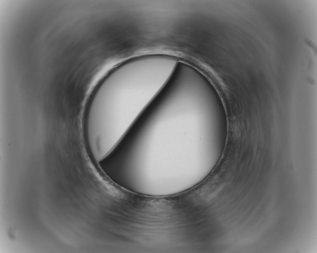 X0000091591416200708200941