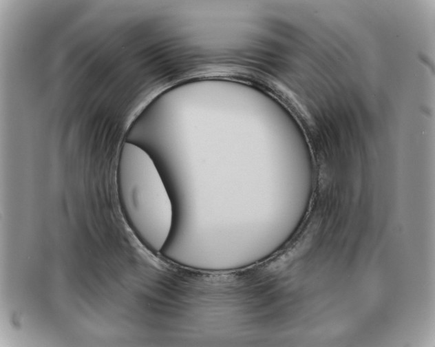 X0000091591417200708200941