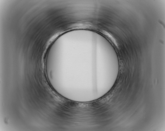 X0000091591419200708200941