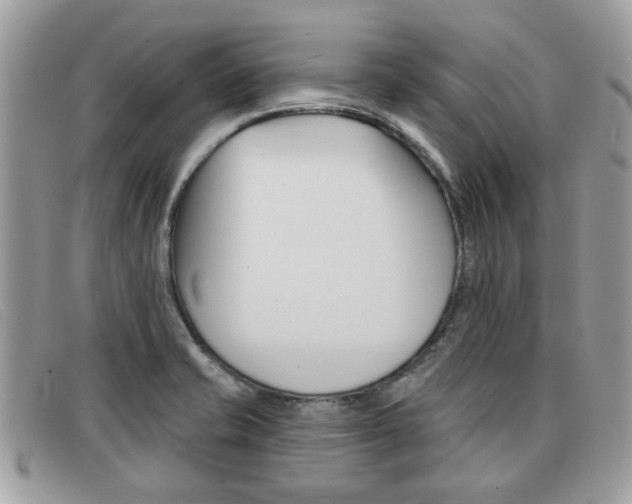 X0000091591421200708200941