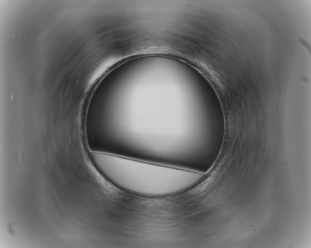 X0000091591422200708200941