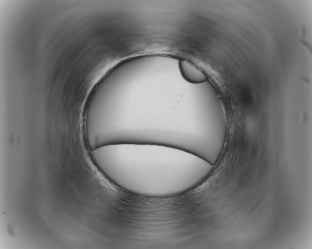 X0000091591423200708200941