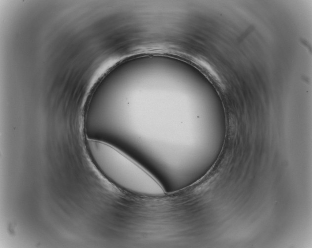 X0000091591424200708200941