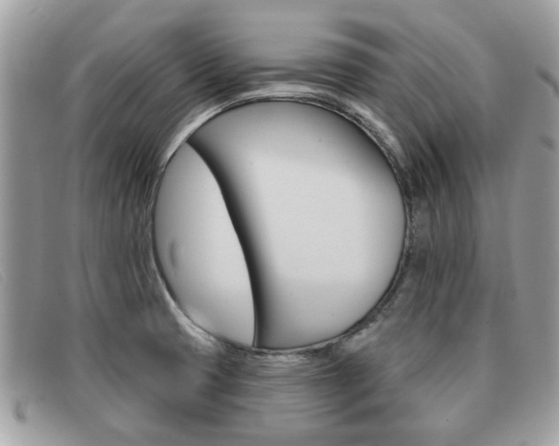 X0000091591425200708200941