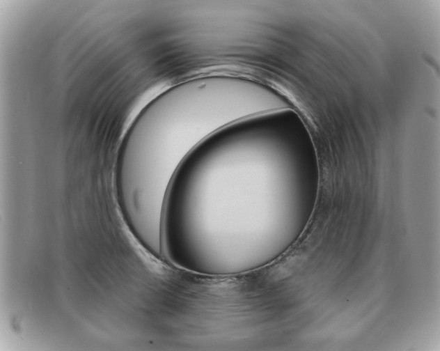X0000091591426200708200941