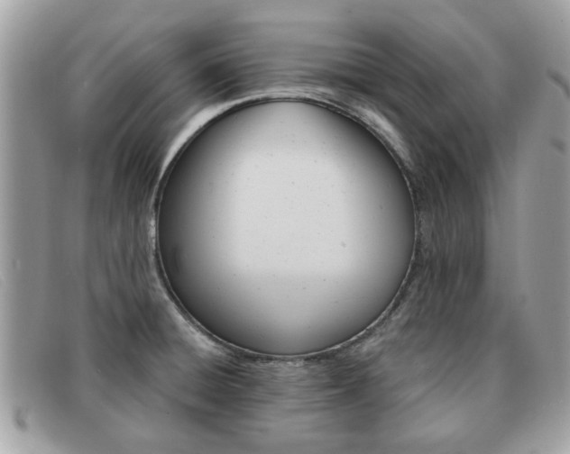 X0000091591428200708200942