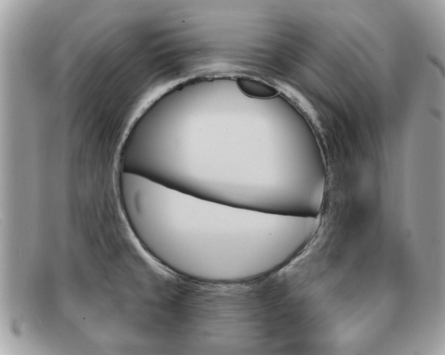 X0000091591429200708200942