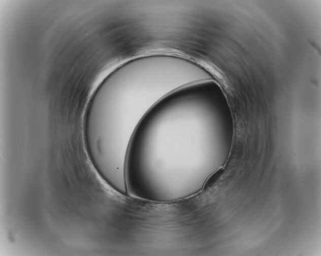 X0000091591430200708200942