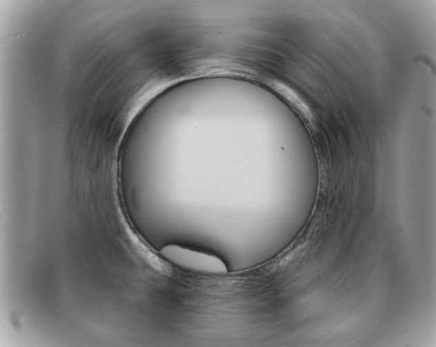 X0000091591431200708200942