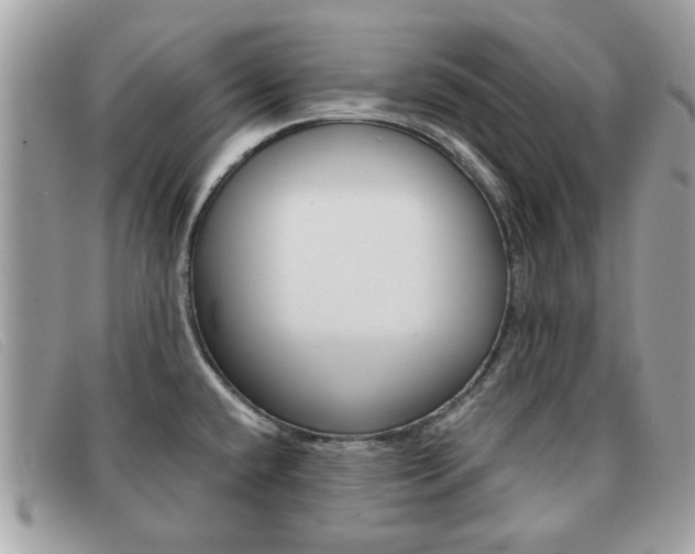 X0000091591432200708200942