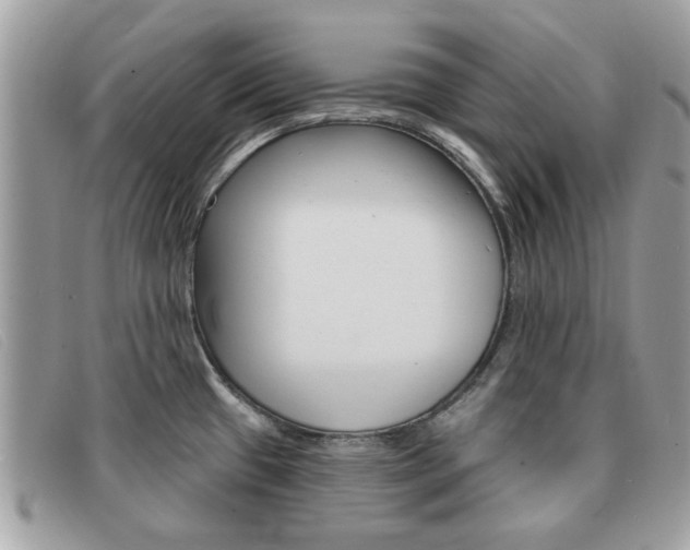 X0000091591433200708200942
