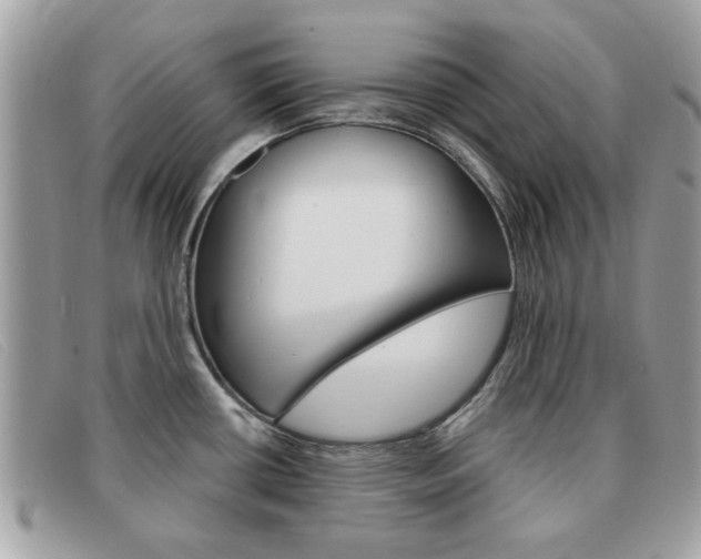 X0000091591434200708200942
