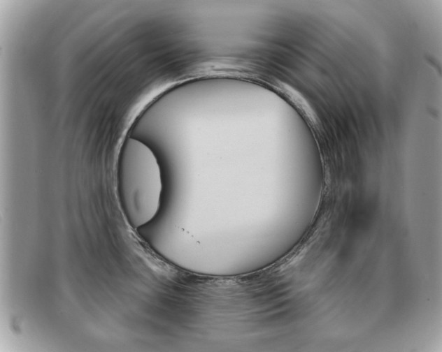 X0000091591435200708200942