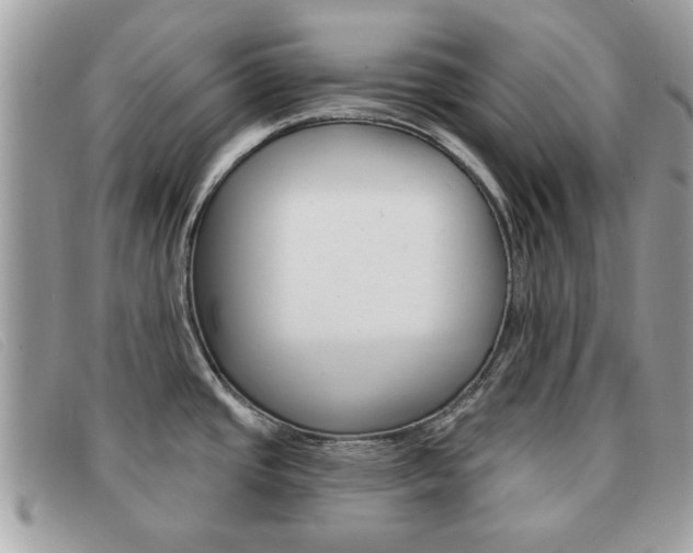 X0000091591437200708200942