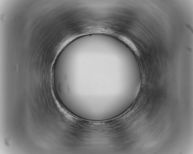X0000091591439200708200942