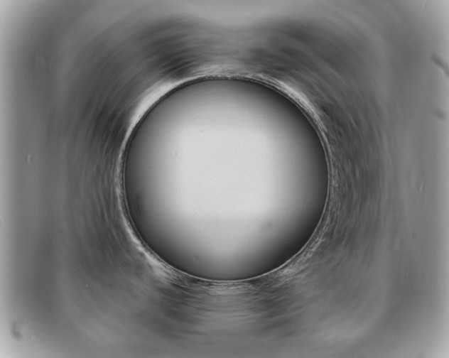 X0000091591440200708200942