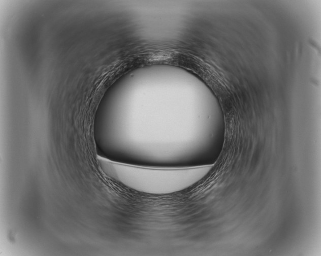 X0000091591441200708200941