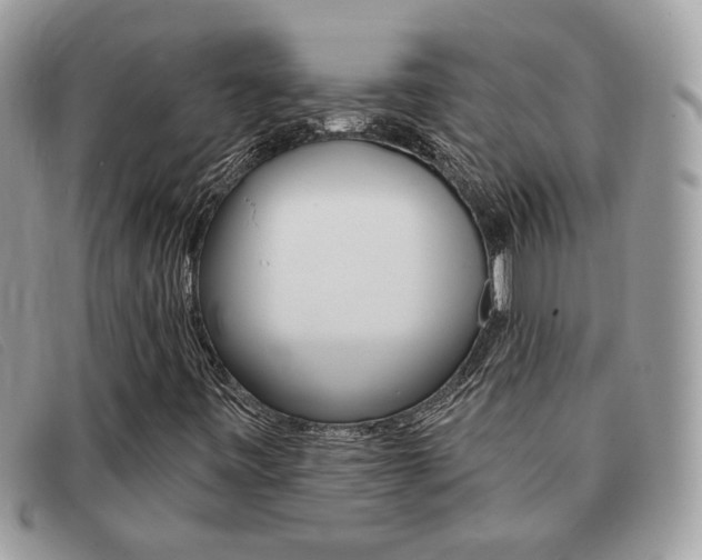 X0000091591443200708200941