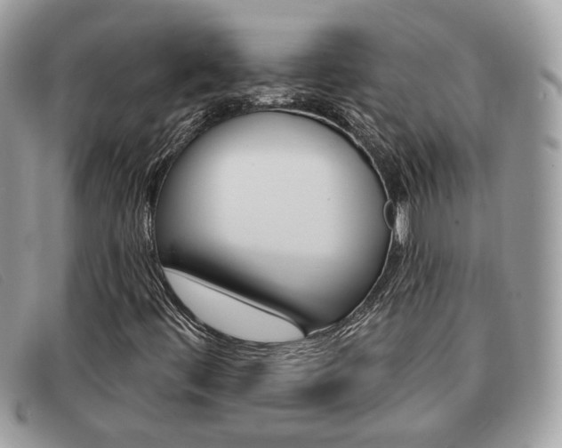 X0000091591444200708200941