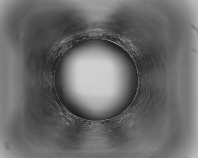 X0000091591445200708200941