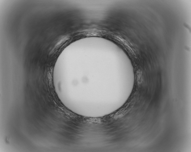 X0000091591446200708200941