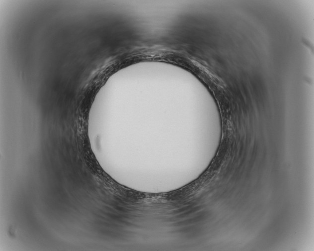 X0000091591447200708200941