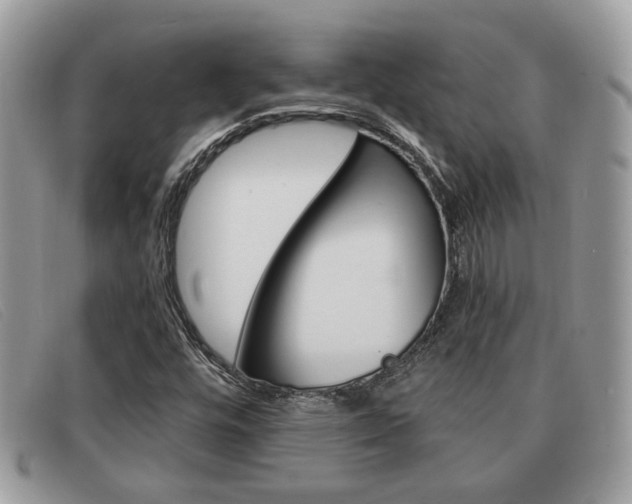 X0000091591448200708200941
