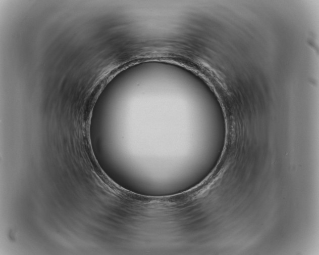X0000091591449200708200941