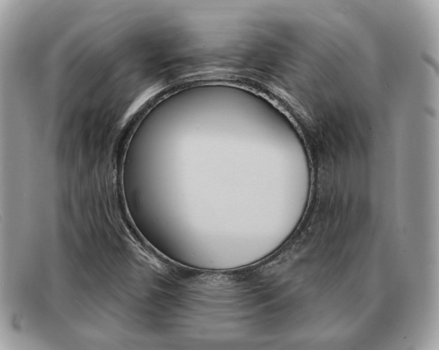 X0000091591450200708200941