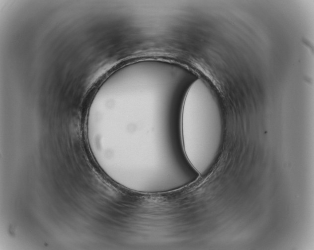 X0000091591452200708200941