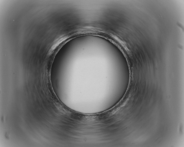 X0000091591453200708200941
