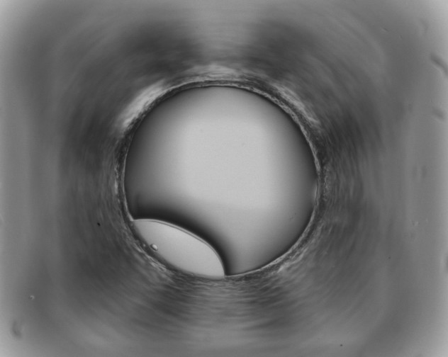 X0000091591455200708200941