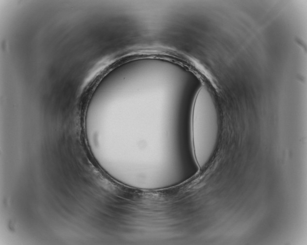 X0000091591456200708200941