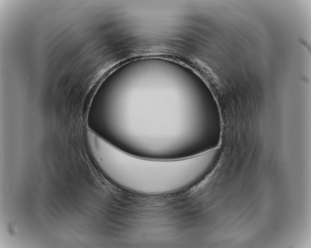 X0000091591457200708200941