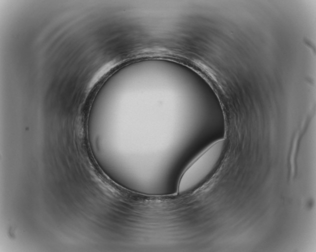 X0000091591458200708200941